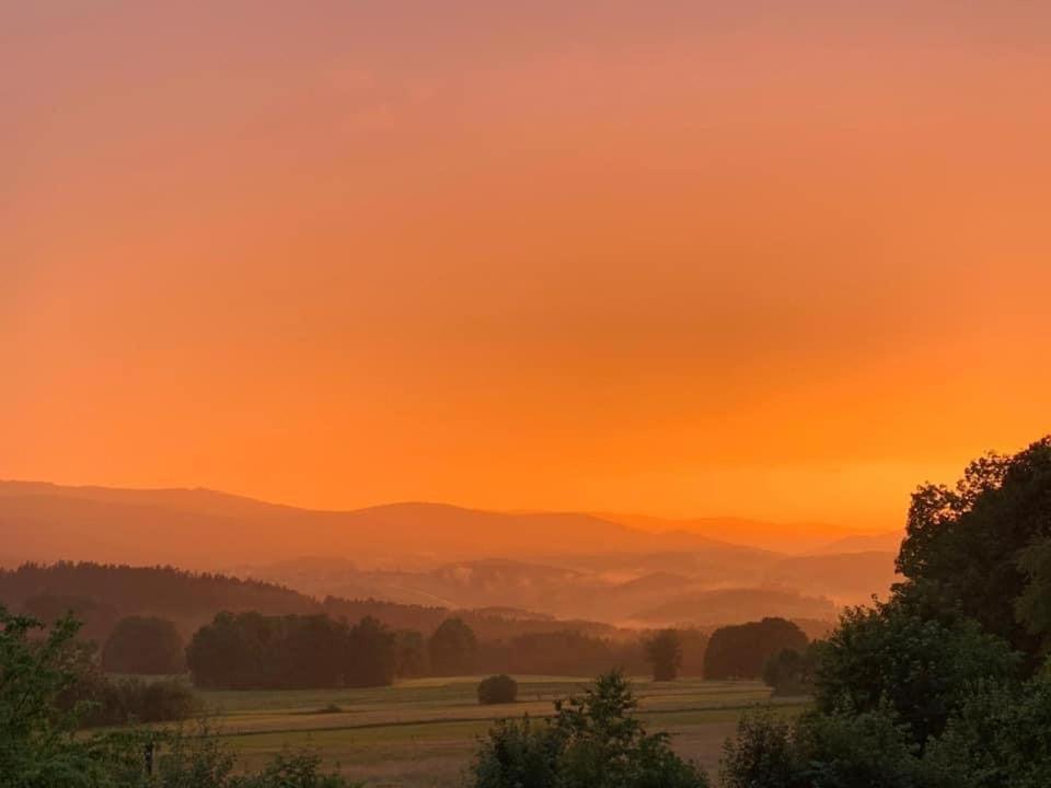 Burggasthof Weißenstein * Regen
